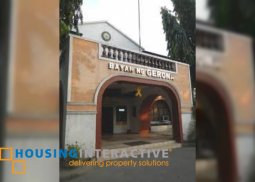 lot for sale in brgy san agustin gerona tarlac