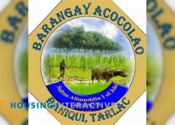 lot for sale in brgy acocolao paniqui tarlac