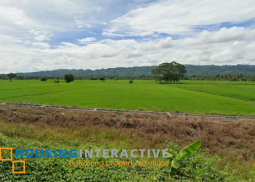 lot for sale davao del norte