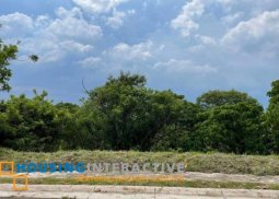 lot for sale in ayala west groove heights