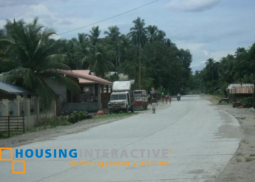 lot for sale in davao del norte