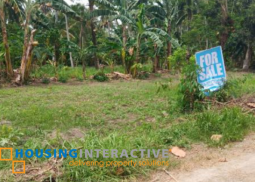 lot for sale in davao del norte