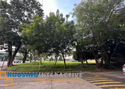 corner lot for sale at ayala alabang village