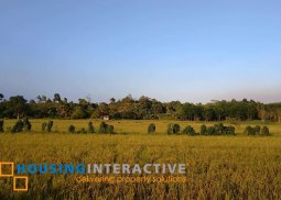 farm lot, agusan del sur