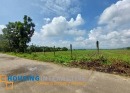 farm lot, koronadal, south cotabato