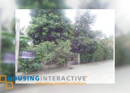 lot for sale in ramon