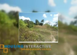lot for sale in lake subu