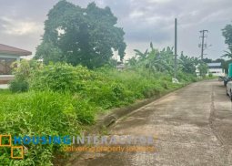 lot for sale in mission hills antipolo