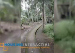 farm lot for sale in liliw, laguna