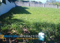 lot for sale in southwood, cavite