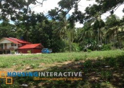 lot for sale in dauin, dumaguete