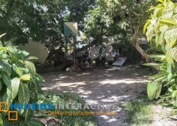 lot for sale in midtown village cainta rizal