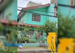 house and lot for sale in kalayaan village pasay city