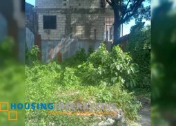 lot for sale in taguig city