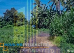beach lot with beach house for sale in dauin, dumaguete city