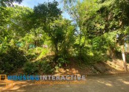 vacant lot for sale in angono, rizal