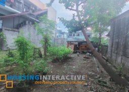 lot for sale in cainta, rizal