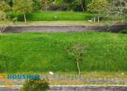 vacant lot for sale in ayala greenfield estates