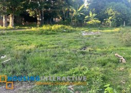 lot for sale in dumaguete city
