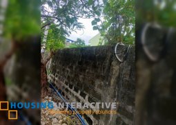 lot for sale in angono rizal