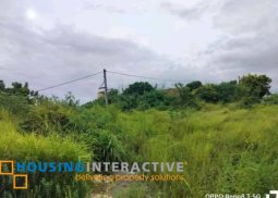 lot for sale in angono rizal