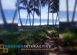 lot for sale in dauin, negros oriental