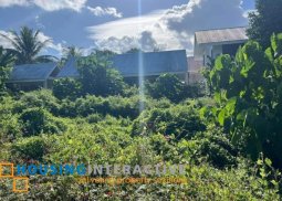 lot for sale in valencia, negros oriental