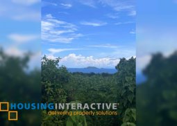 lot for sale in zamboanguita, negros oriental