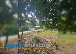 lot for sale in candau-ay, dumaguete city