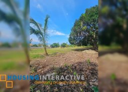 lot for sale in candau-ay, dumaguete city
