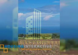 lot for sale in zamboanguita,  negros oriental