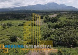 farm lot for sale in dauin, negros oriental