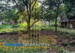 lot for sale in valencia, negros oriental