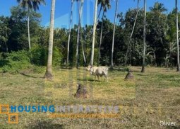 lot for sale in dumaguete city