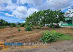 lot for sale in valencia, negros orienta