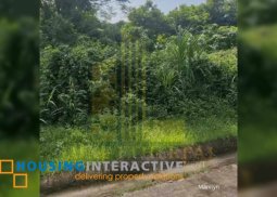 lot for sale in dumaguete city