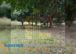 lot for sale in san jose, negros oriental