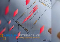 beach lot for sale in siaton, negros, oriental