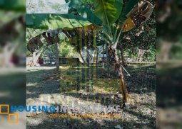 lot for sale in san antonio,sibulan, neg. or.