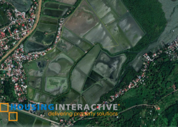 lot for sale in  bais city, negros oriental