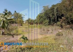 lot for sale in dumaguete city