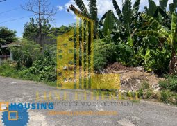 lot for sale in dumaguete city