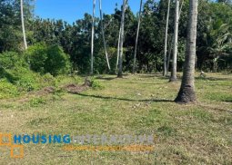 lot for sale in dumaguete city