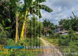 beach lot, bacong negros oriental