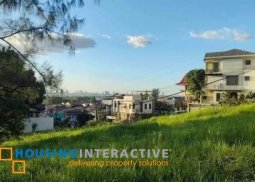 lot unit for sale in ridgemont executive village, taytay rizal