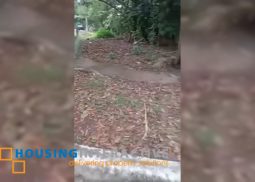 lot for sale in redwood park taytay rizal