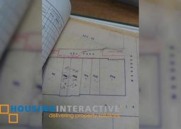 lot for sale in victoria de hidalgo manila city