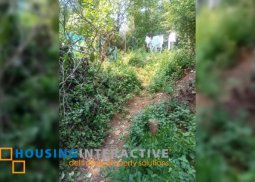 lot for sale in nieves hills angono rizal