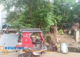 lot for sale in arveemar angono rizal