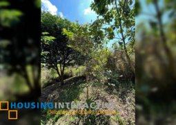 lot for sale in antipolo
